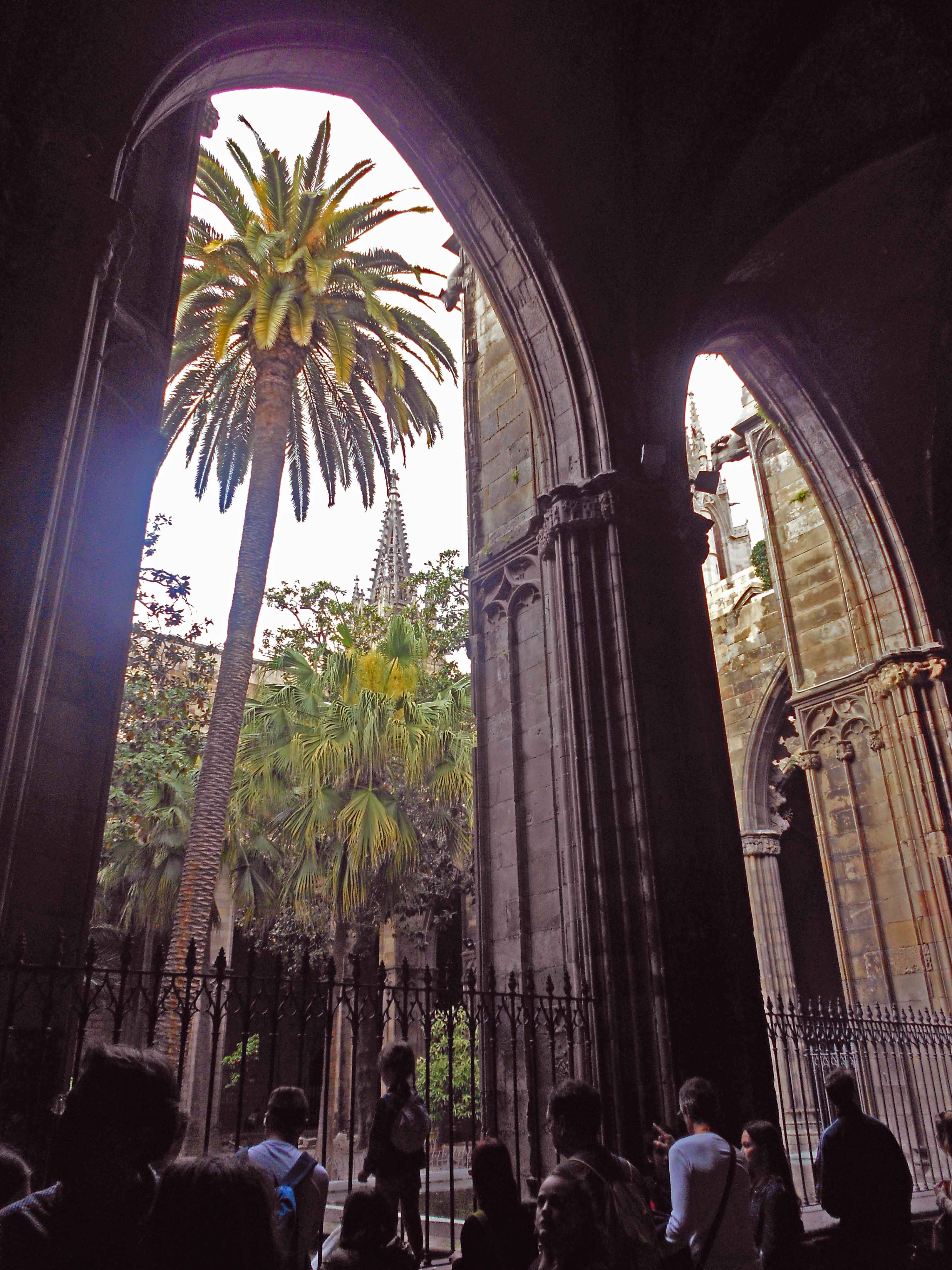 Cathedral Barcelona – Cloister
